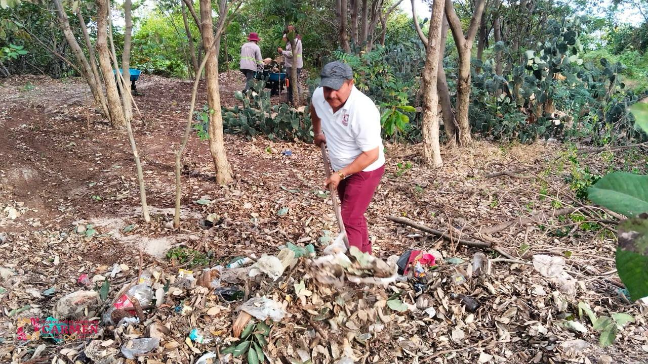 645704014_1352661226895964_7206442250879117223_n