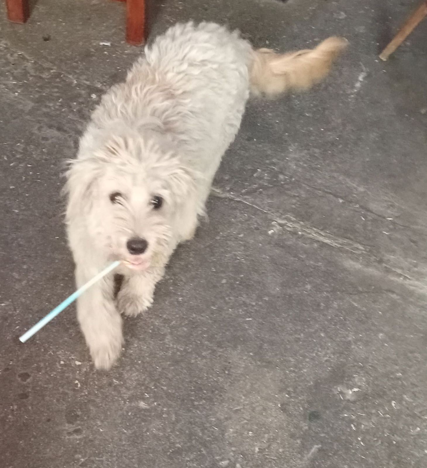 e8fbdaf4-12f4-4b22-89a4-31ebc6a9d38b