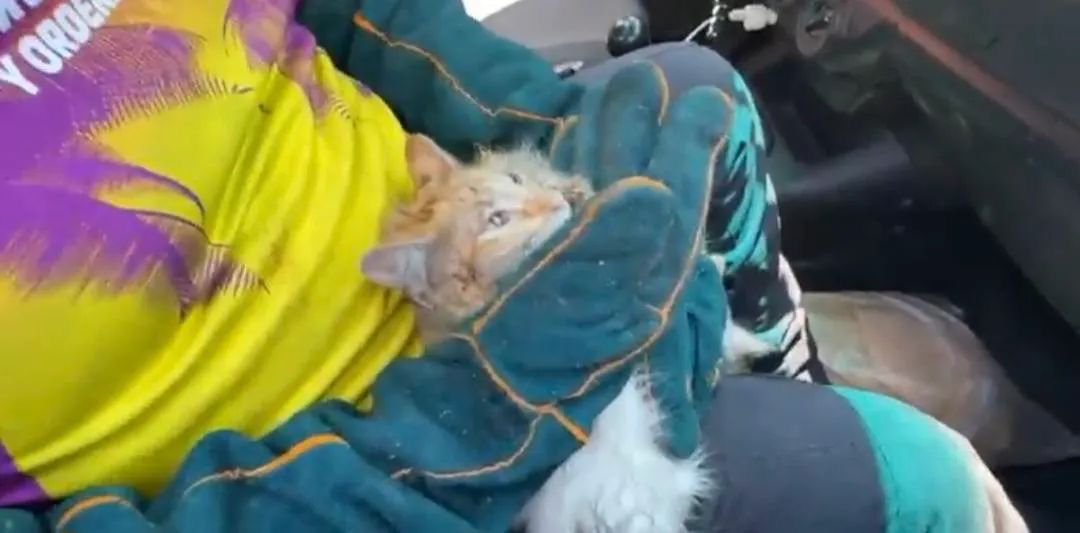 e7a1f24e-314d-4f4c-8184-13b26d44cb55